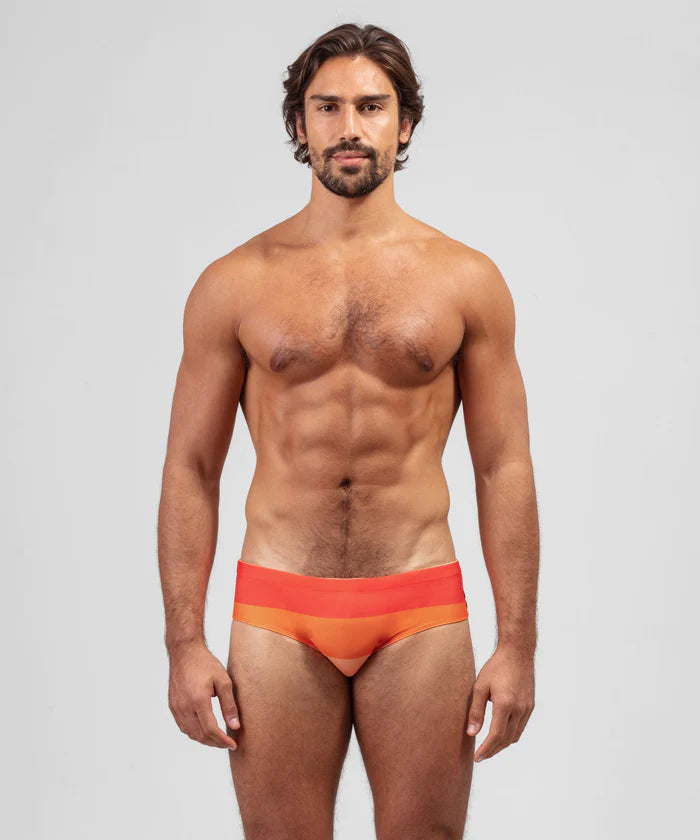 RON DORFF SWIM BRIEFS BIG STRIPES - 2 COLORS