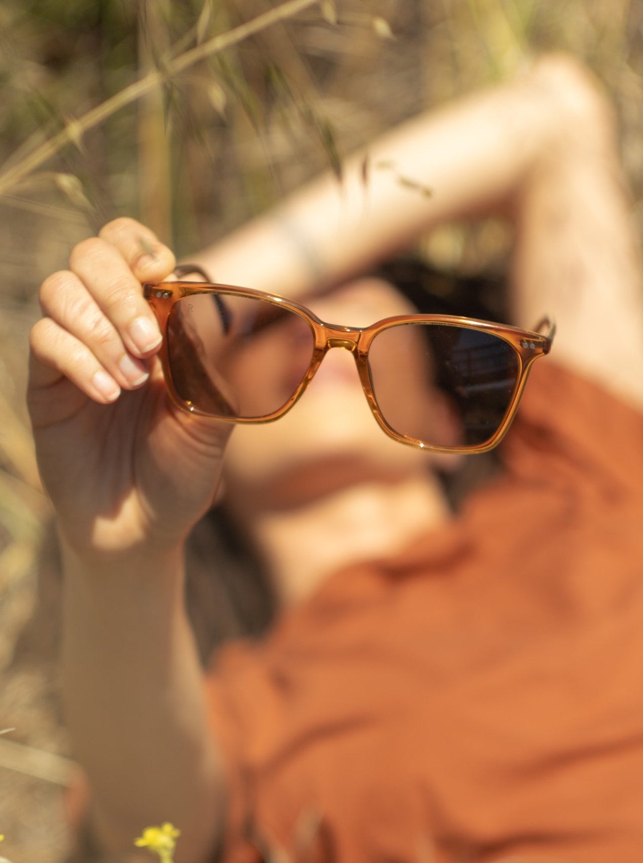 RAEN DARINE SUNGLASSES - GOLDEN HOUR/DAYDREAM