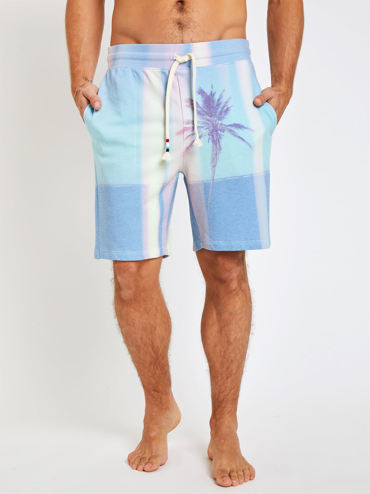 SOL ANGELES MEN'S SHORTS - SUNSET PALM